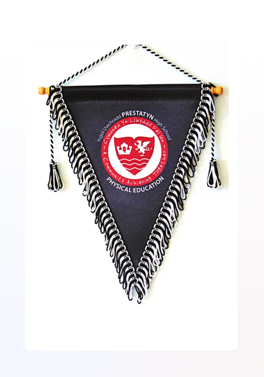 Shop mini pennants for car displays and souvenirs