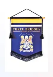 Custom printed presentation pennants for awards and gifts